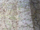 WW1 Era British Army General Staff Map of NAMUR in Belgium. Original Map - The Militaria Shop