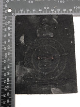 Load image into Gallery viewer, Image #4
