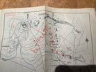 Original Boer War / British Army / Planning Map. The Battle of HOUTNEK 1900. - The Militaria Shop