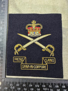 British Army Bullion Embroidered Blazer Badge - Army Physical Training Corps - The Militaria Shop