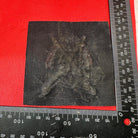 British Army 16th The Queen's Lancers Regiment Embroidered Blazer Badge - The Militaria Shop