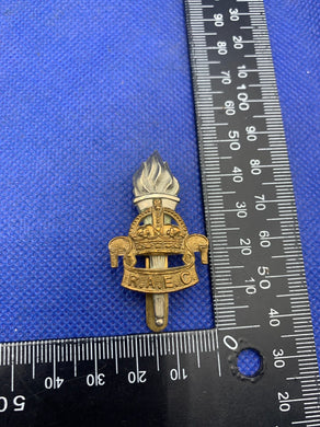 RAEC Royal Army Education Corps British Army Cap Badge WW2 - The Militaria Shop