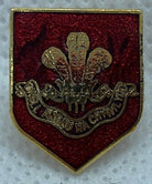 Welsh Regiment - NEW British Army Military Cap/Tie/Lapel Pin Badge #137 - The Militaria Shop