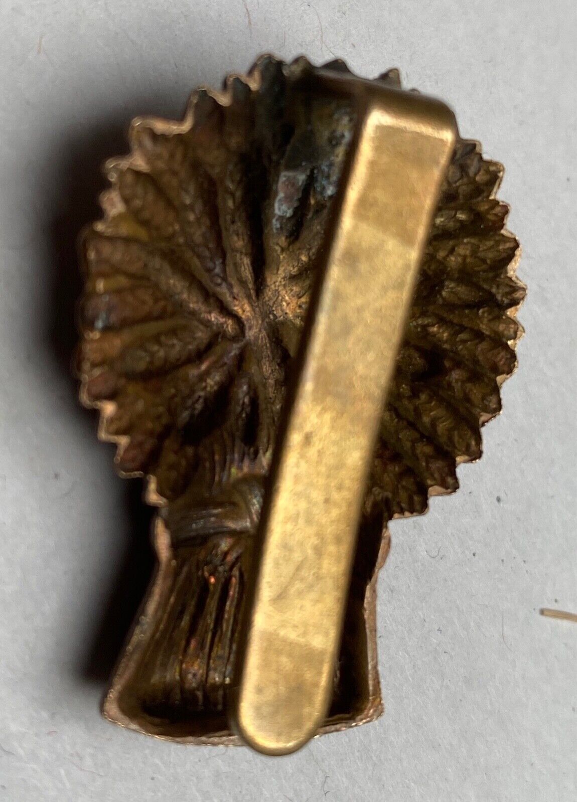 WW1 / WW2 British Army - Lothians and Border Horse brass cap badge. - The Militaria Shop