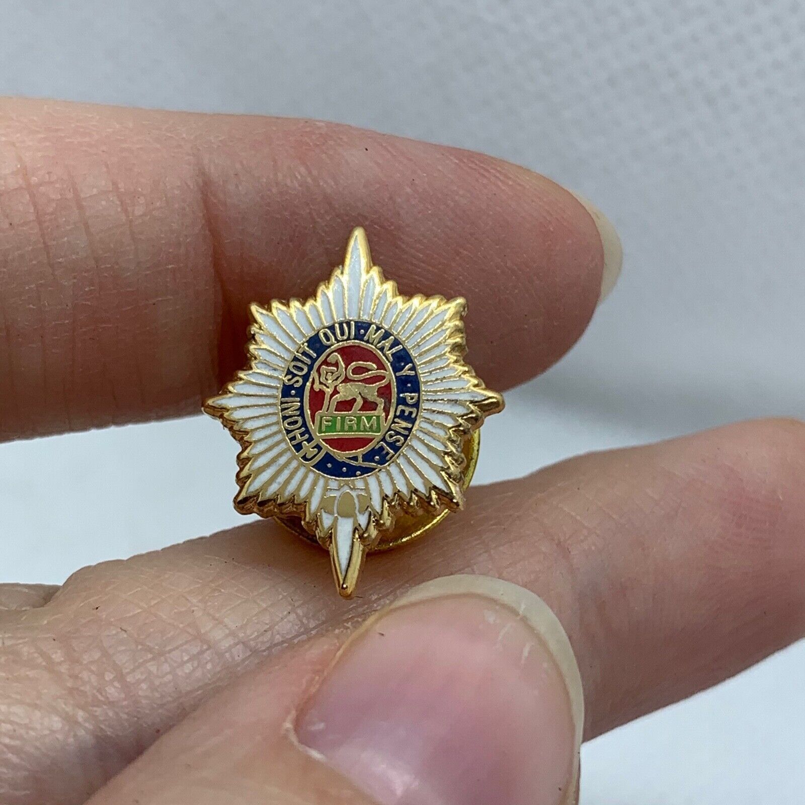 Worcestershire Regiment - NEW British Army Military Cap/Tie/Lapel Pin Badge #113 - The Militaria Shop