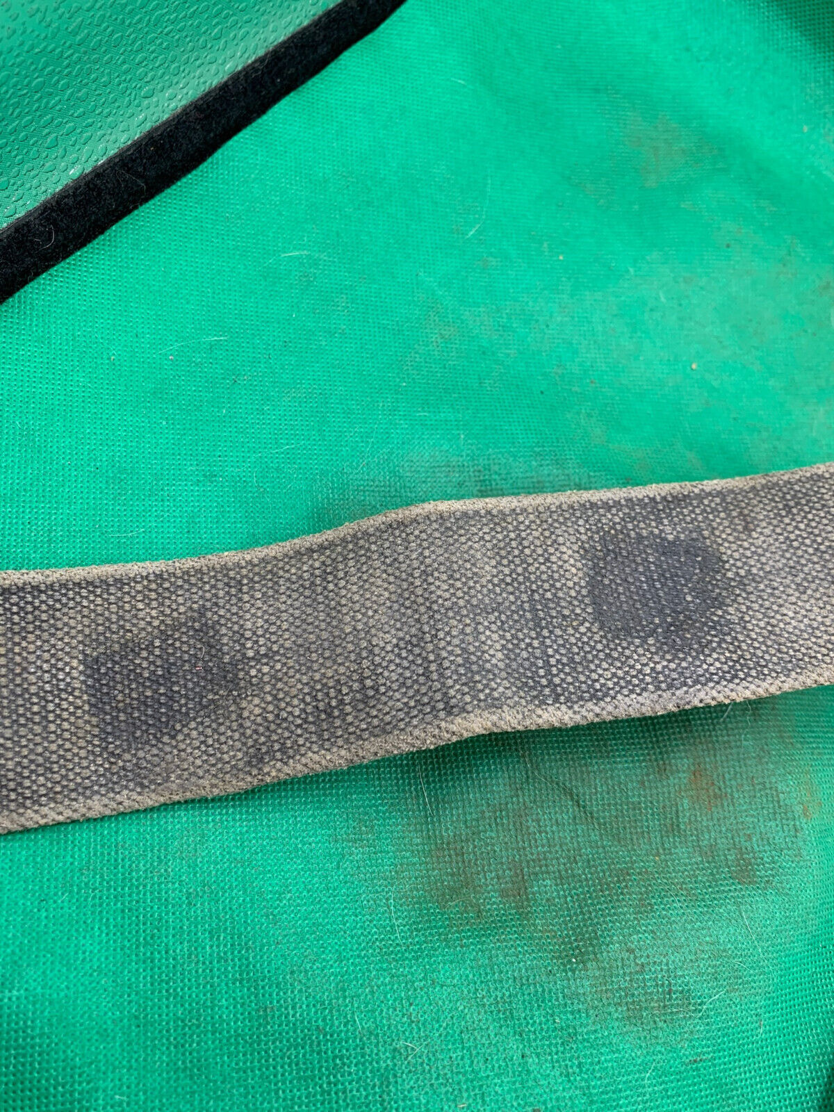 Image #7