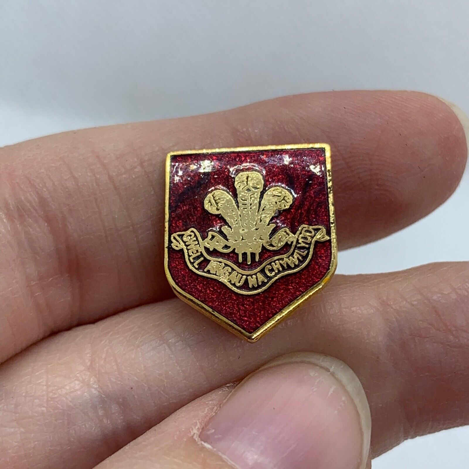Welsh Regiment - NEW British Army Military Cap/Tie/Lapel Pin Badge #137 - The Militaria Shop
