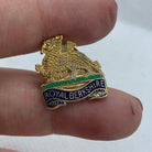 Royal Berkshire - NEW British Army Military Cap/Tie/Lapel Pin Badge #65 - The Militaria Shop
