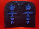 Unissued WOMEN'S ROYAL NAVY WRNs Trade Badge - Air Photographer CPO 1 Star - The Militaria Shop