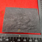 British Army Duke of Wellington West Riding Cap / Beret / Blazer Badge - UK Made - The Militaria Shop