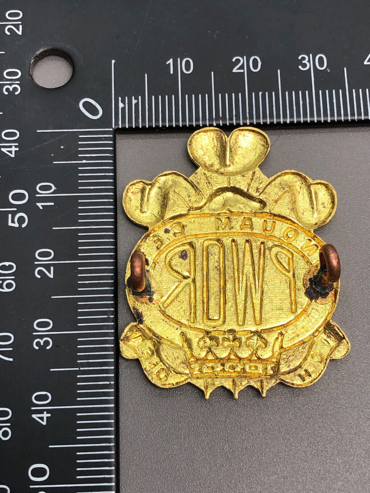 Genuine Army Canadian Princess of Wales's Own Regiment Cap Badge - The Militaria Shop