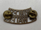 British Army Princess of Wales Collar Badge - The Militaria Shop