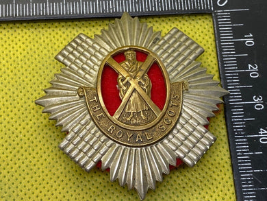 British Army The Royal Scotts Cap Badge with backing - The Militaria Shop