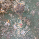 Image #12