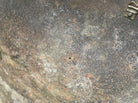 Image #9