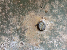 Genuine WW2 Canadian & British Army Helmet - Turtle Mk3 Helmet - The Militaria Shop
