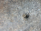Image #9