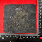 British Army The West Riding Regiment Embroidered Blazer Badge - The Militaria Shop