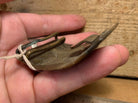 Genuine WW2 USSR Russian Soldiers Army Brass Belt Buckle - 121 - The Militaria Shop