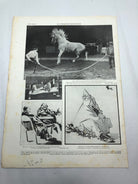 JB Juustrierter Beobachter NSDAP Magazine Original WW2 German - 12th March 1942 - The Militaria Shop