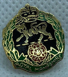 Royal Hampshire - NEW British Army Military Cap/Tie/Lapel Pin Badge #107 - The Militaria Shop