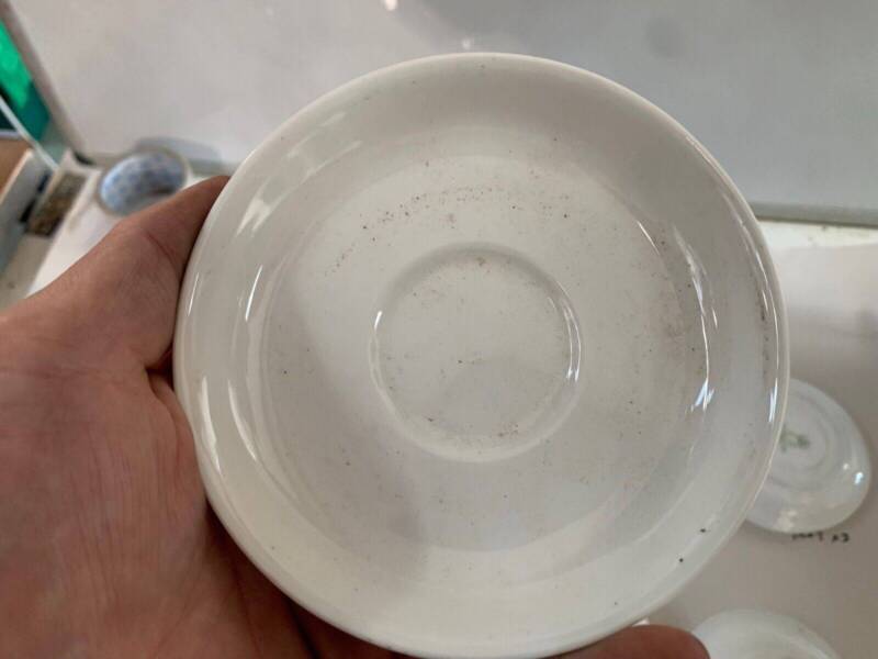 Genuine British Army Officers Mess Porcelain Coffee / Tea Saucer - The Militaria Shop