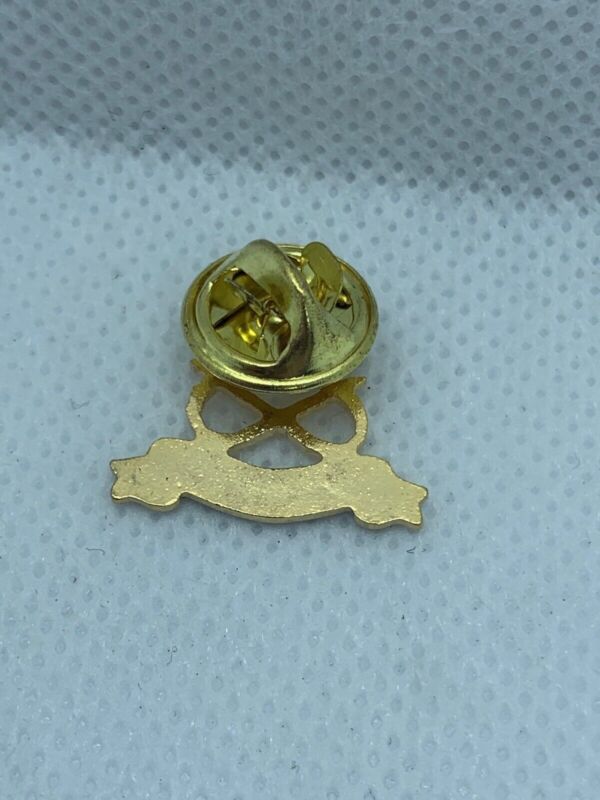 North Staffordshire - NEW British Army Military Cap / Tie / Lapel Pin Badge (#9) - The Militaria Shop