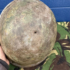 WW2 Canadian Army Mk3 Turtle Helmet - Original Helmet Shell - High Rivet - The Militaria Shop