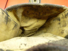 Original WW2 Canadian Army 37 Pattern Bren Pouch - The Militaria Shop