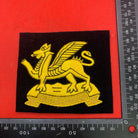 British Army The Buffs Regimental Embroidered Blazer Badge - The Militaria Shop