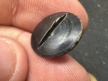 Load image into Gallery viewer, Image #5
