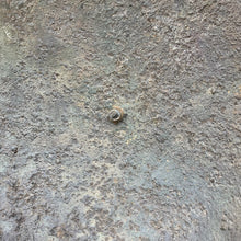 Lade das Bild in den Galerie-Viewer, Image #13
