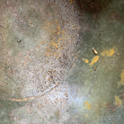 Image #12