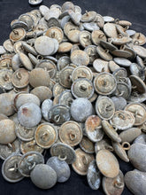 Charger l'image dans la galerie, Image #1
