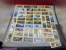 Lade das Bild in den Galerie-Viewer, A Group of Craven Cigarette Cards - British Birds
