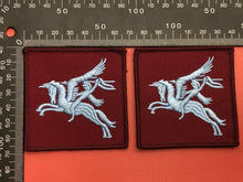 Load image into Gallery viewer, British Army Parachute Regiment Pegasus Badge Pair
