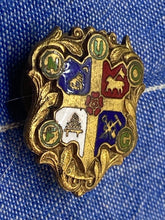 Load image into Gallery viewer, Interesting Heraldic / Masonic Gilt Lapel Badge with Intricate Enamelling
