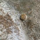 Image #9