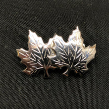 Charger l'image dans la galerie, Image #1
