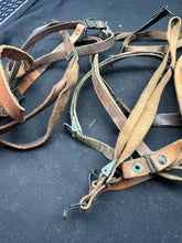 Charger l'image dans la galerie, Image #16
