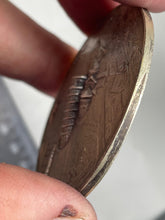 Load image into Gallery viewer, Image #5
