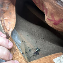 Load image into Gallery viewer, Image #22
