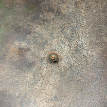 Charger l'image dans la galerie, Image #13
