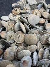 Charger l'image dans la galerie, Image #3
