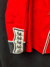 Charger l'image dans la galerie, Image #7
