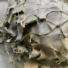 Image #9