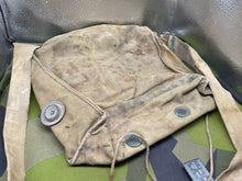 Charger l'image dans la galerie, Image #8
