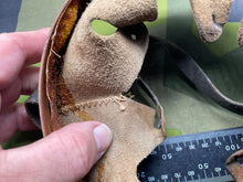 Charger l&#39;image dans la galerie, Image #7
