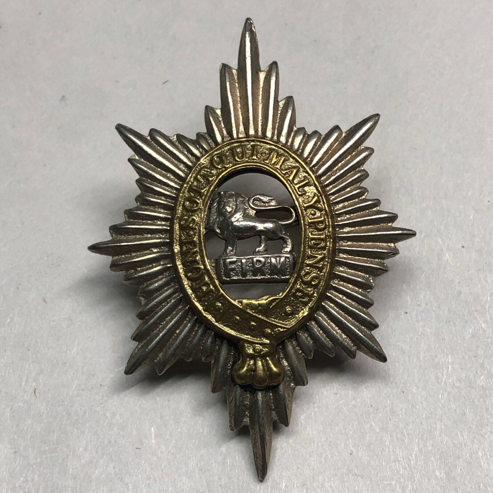 Original WW1 British Army Worcestershire Regiment Cap Badge - The Militaria Shop