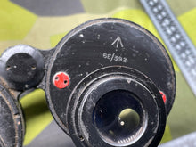 Charger l'image dans la galerie, Image #7
